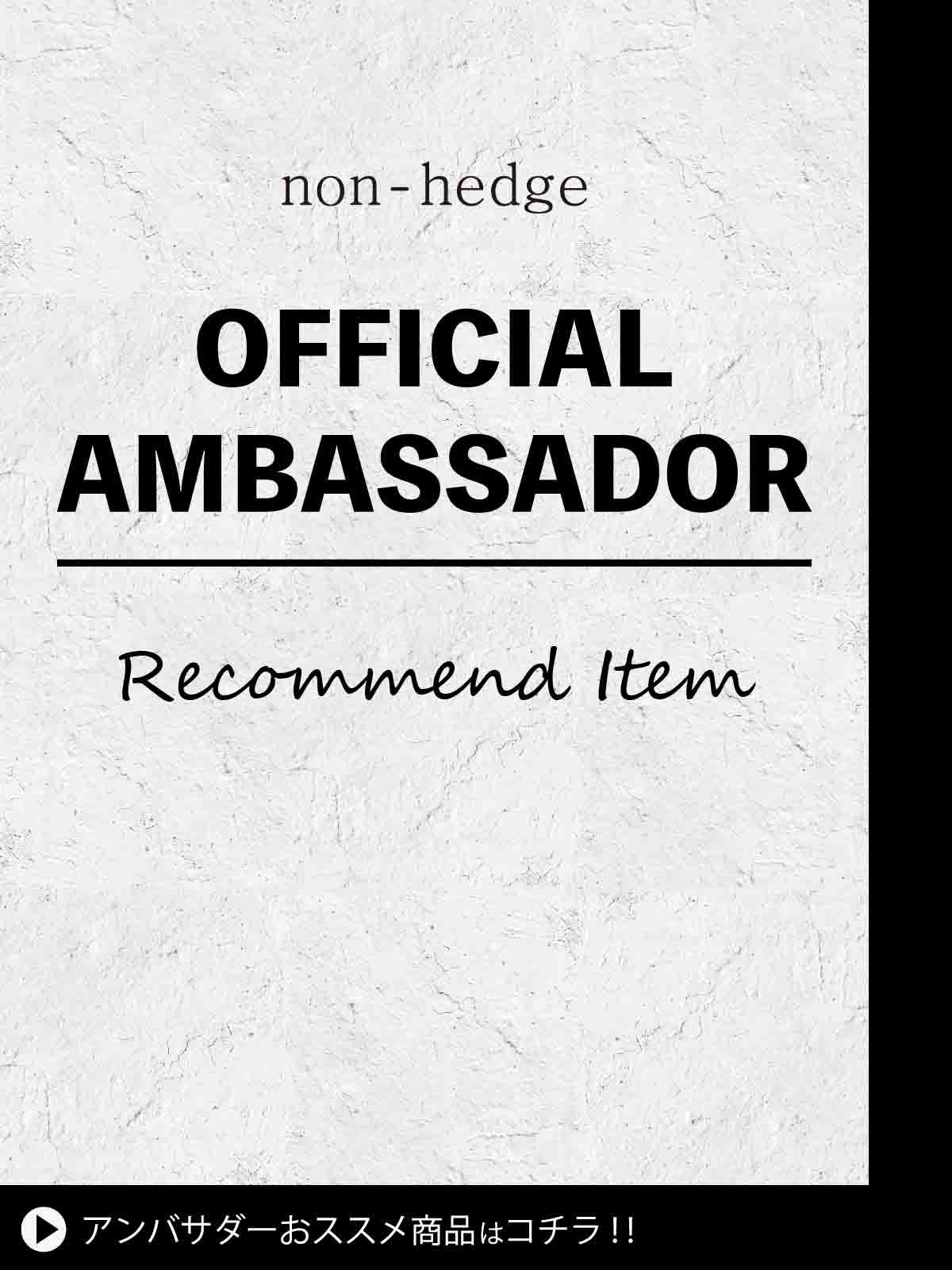 NON_AMBASSADOR_1_SP